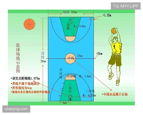 《篮球规则详解》新手必读：后场规则是什么？3分钟教你搞懂基本概念